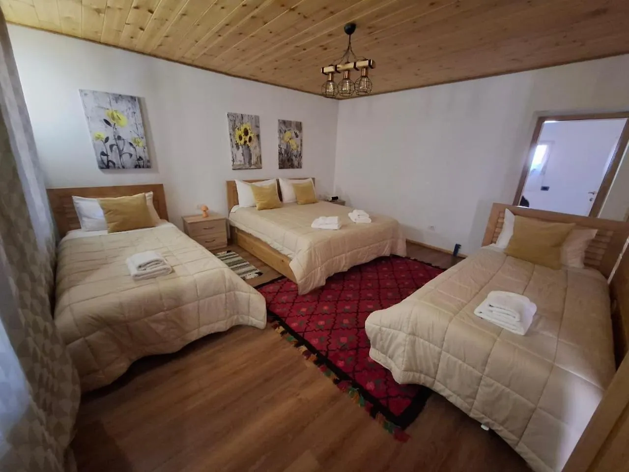 Villa Davisol Theth Guest house